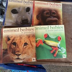 Brand new set of 4 books