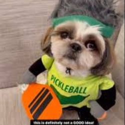 Dog Pickleball Costume Size XL