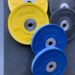Bumper Plates 2 25, 2 36 And 2 45 Pounds 