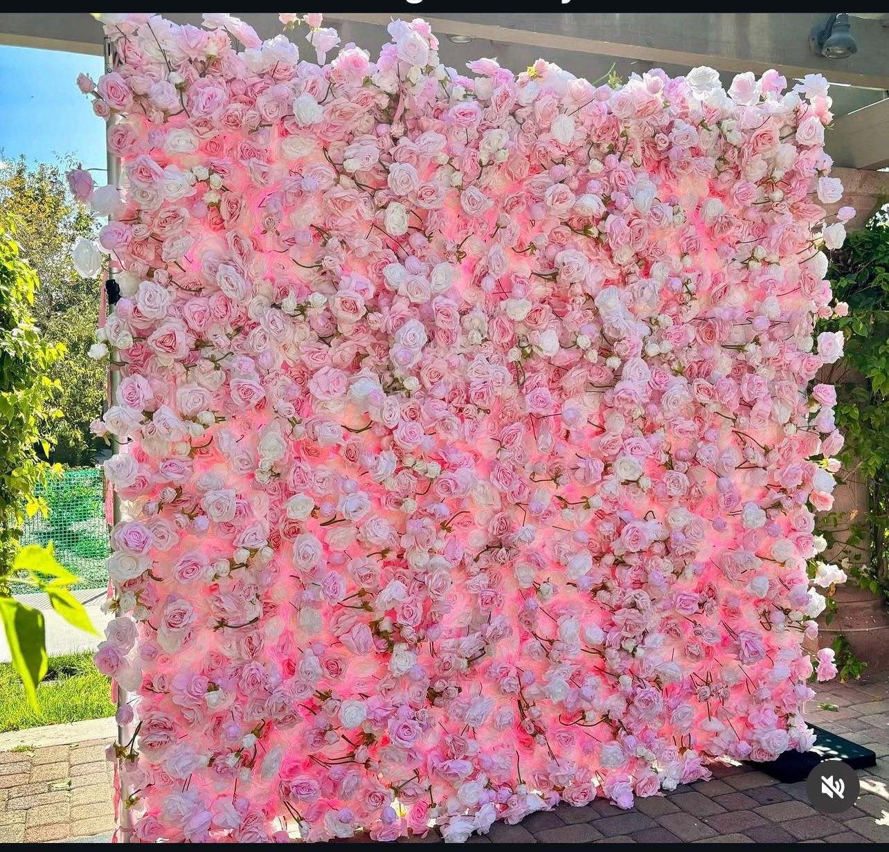 Flower Back Drop Pink