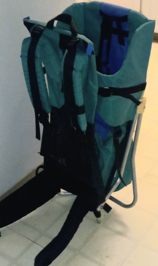 Child Carrier Hiking Backpack