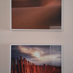 Two framed picture with glass cover