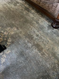 8by10 area rug Hearth and Home by Magnolia