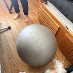 Exercise Ball 