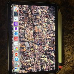 iPad Mini (256 g)