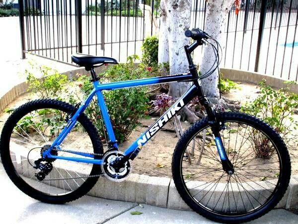 20 nishiki bike