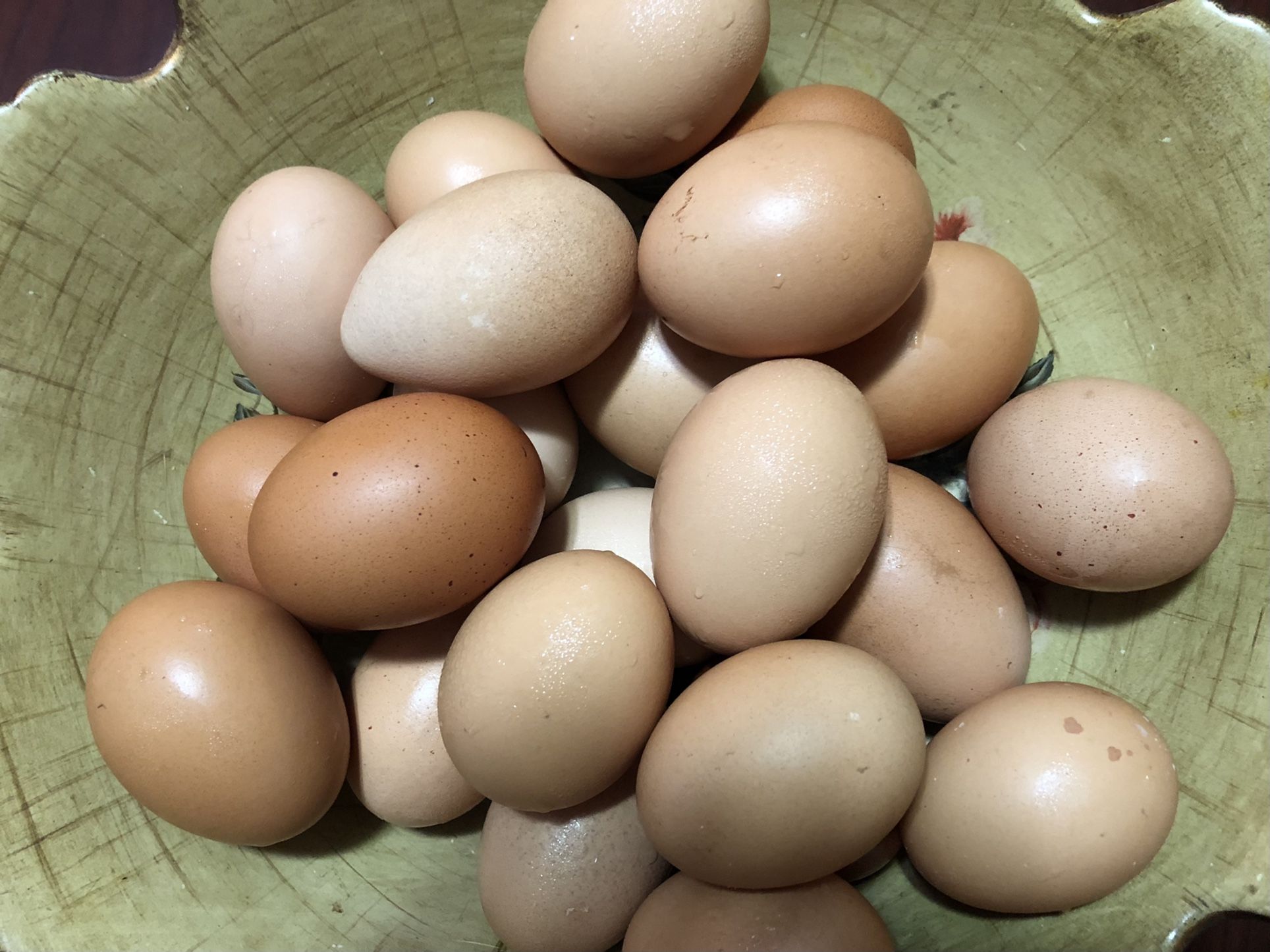 Organic Eggs