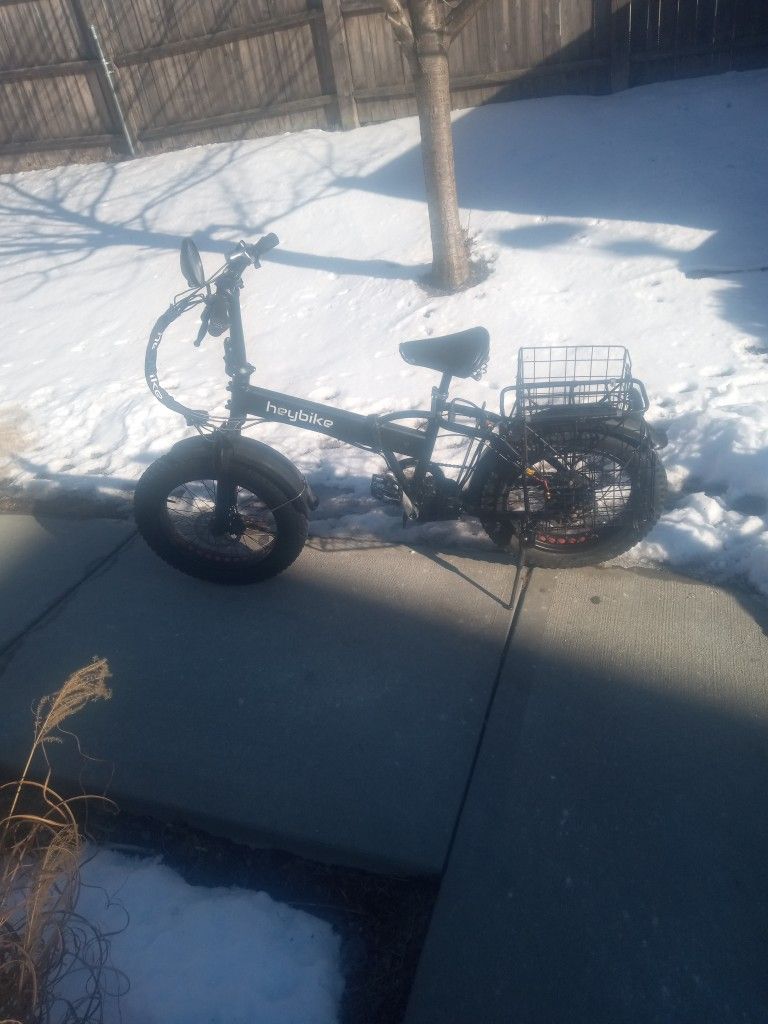 Hay Nick 48vlt 680 Obo