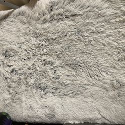 Memory Foam, Dog Bed