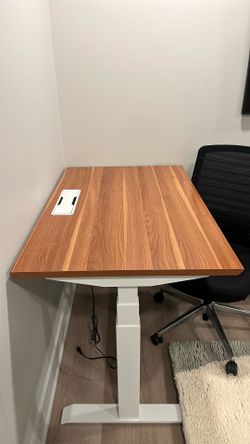 Branch Standing Desk (NEW)