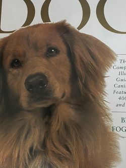 Encyclopedia For Dogs