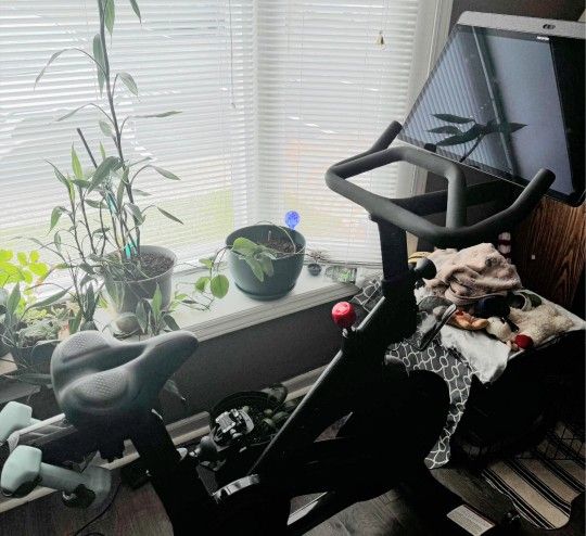 Peloton Bike+ Like-New