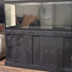 Aquarium With Stand