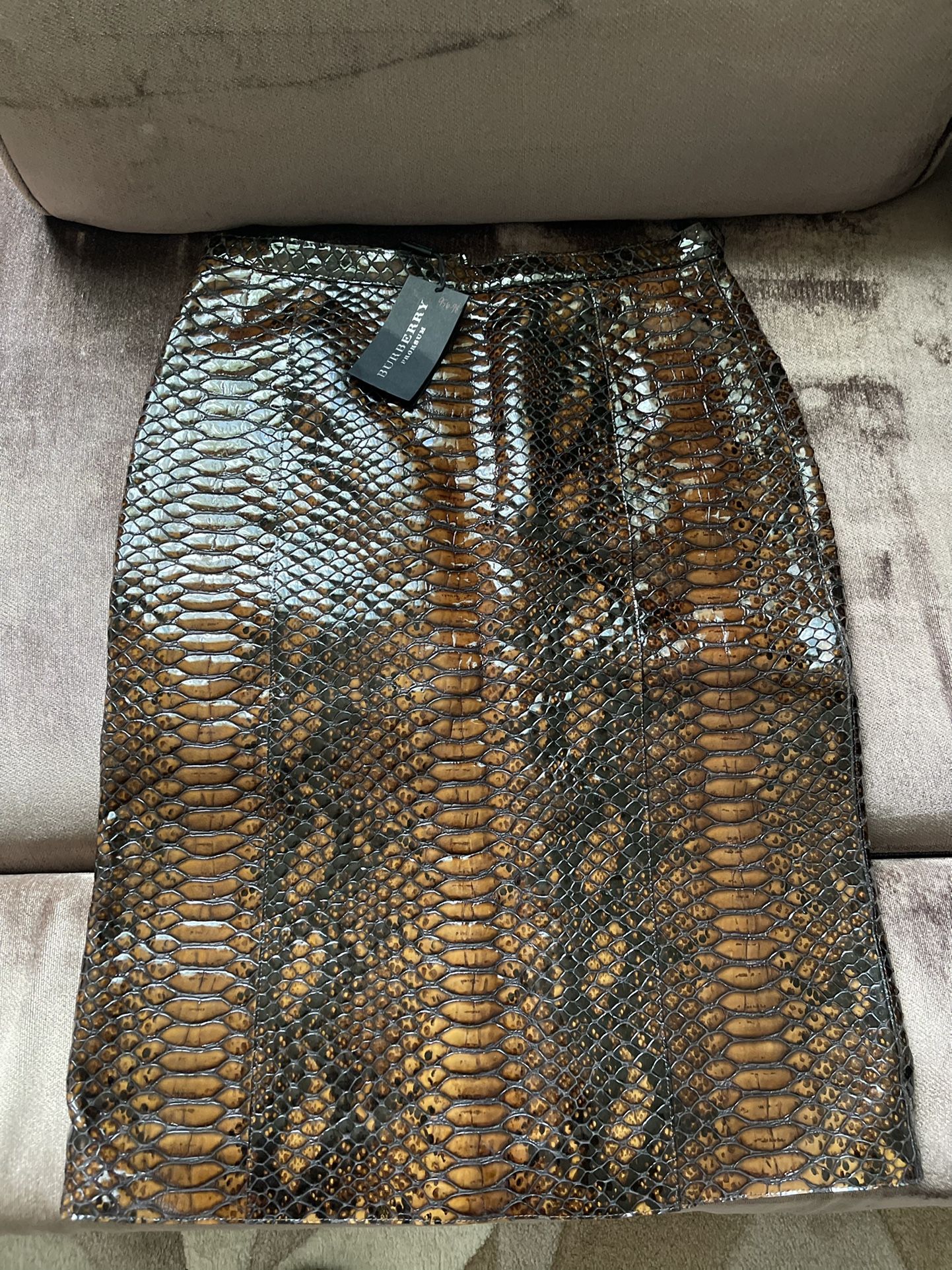 Burberry Snakeskin Leather Skirt