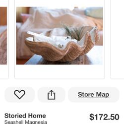 Seashell Magnesia Decoration