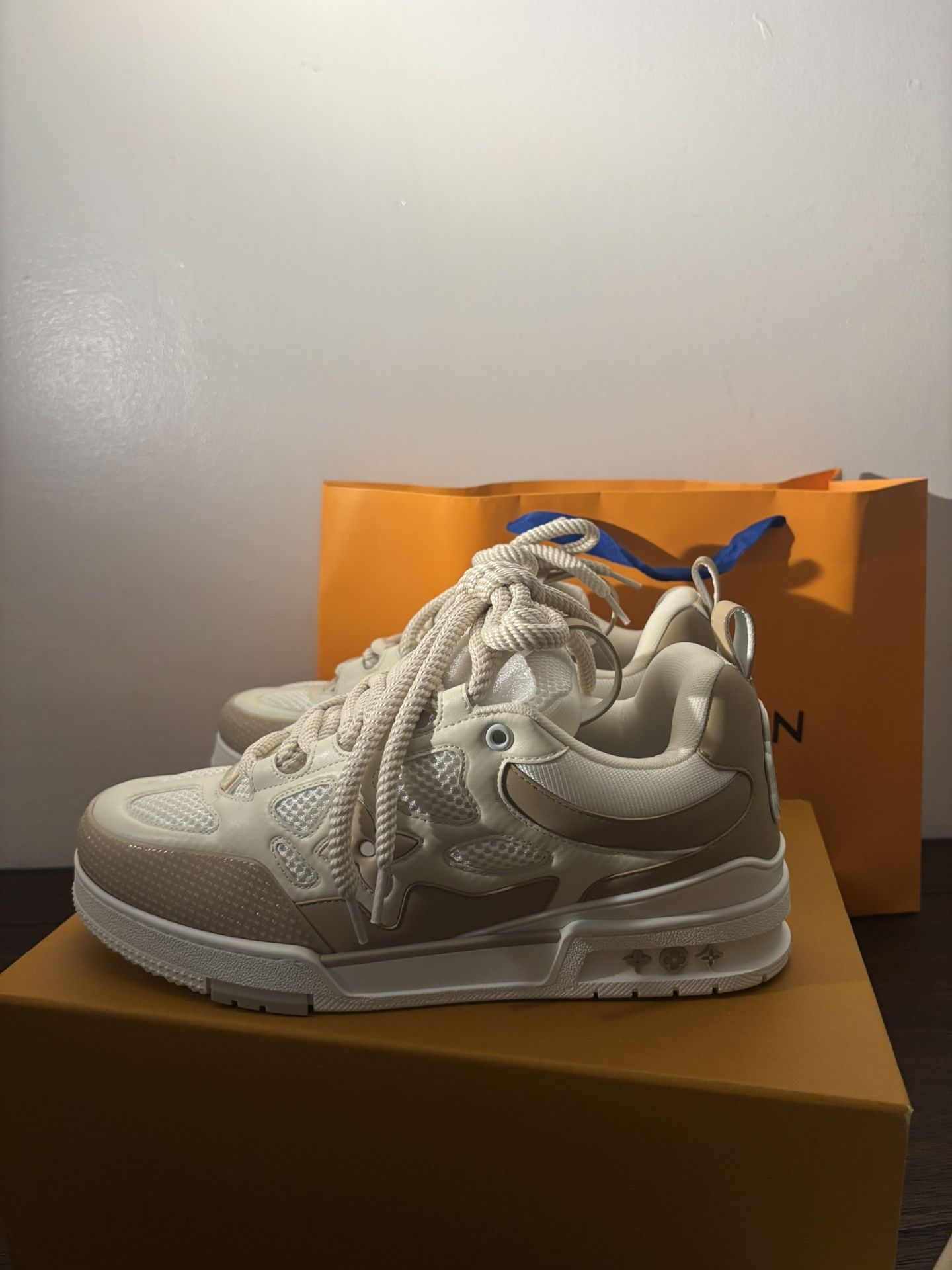 Louis Vuitton LV Sneaker Skates - All sized and colors.