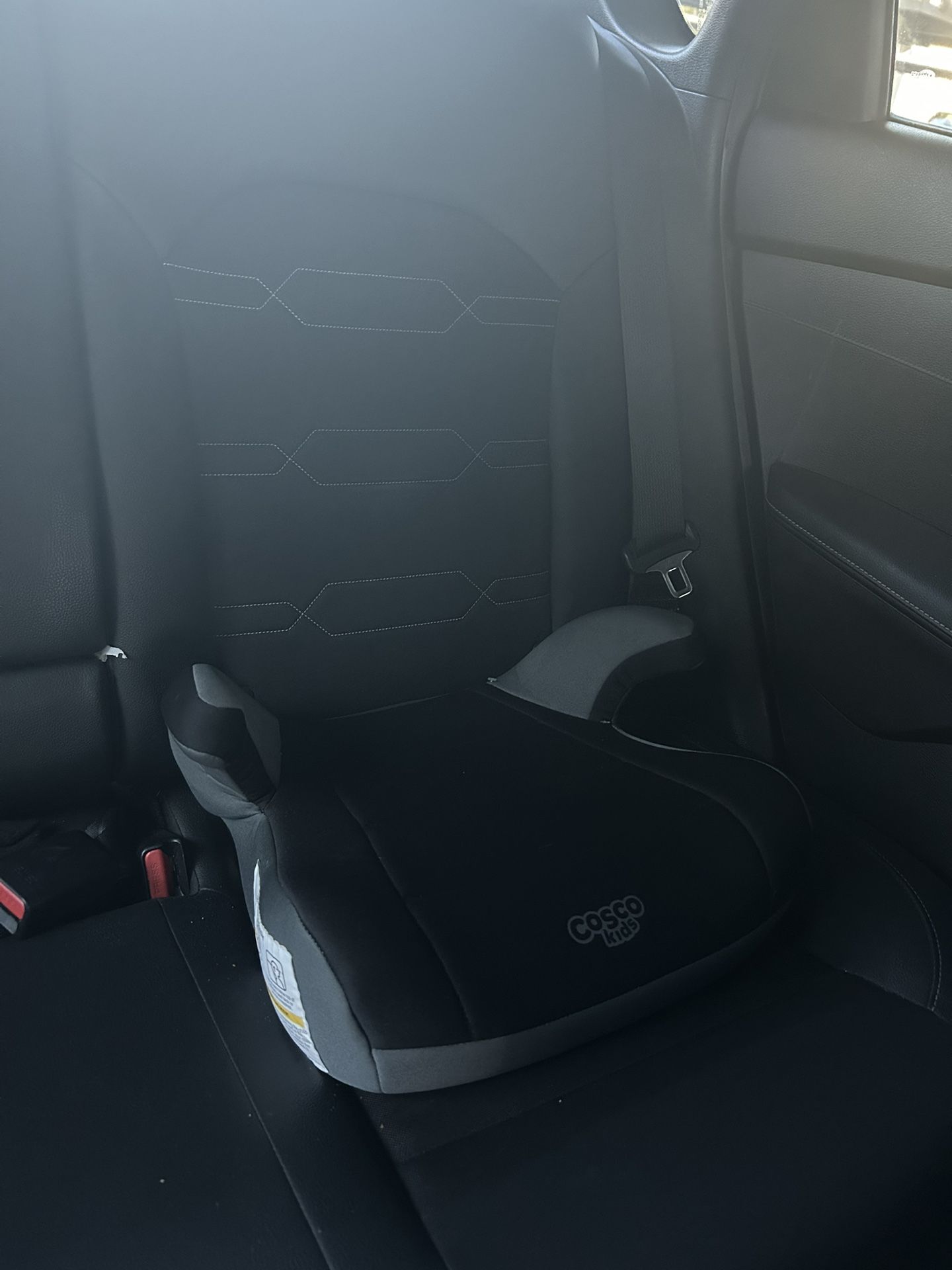 Costco Kids Car Booster Seat