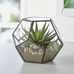 Geometric Glass And Metal Terrarium For Succulents And Air Plants