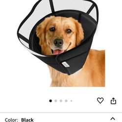 Dog cone