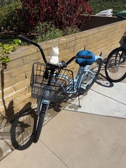 Beach Cruisers