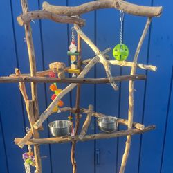 Large Parrot / Macaw Parrot Perch Tree … Made Of Hard Durable Ribbon Wood, Lasts For Years ! ( Yes We Deliver 💯)