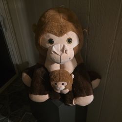 Peluche