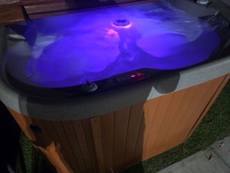 Jacuzzi Hot Tub Spa