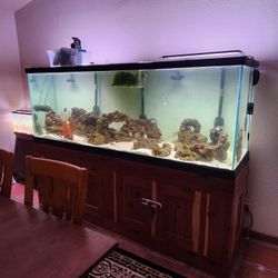300 Gallon Tank With Stand Only