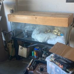 Fish Tank With Accessories  