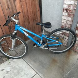 Raleigh Mountain Bike 