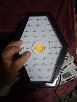 LED Grow Light Panel with COB Center