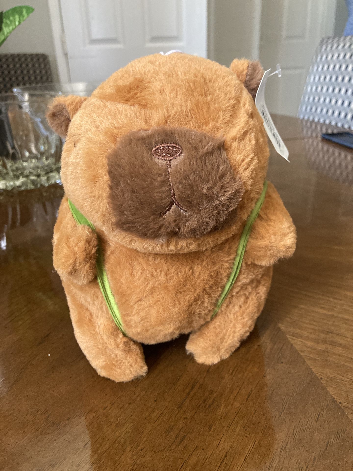 Kapybara
