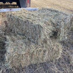 Fresh Hay 