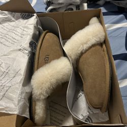 Uggs Slippers
