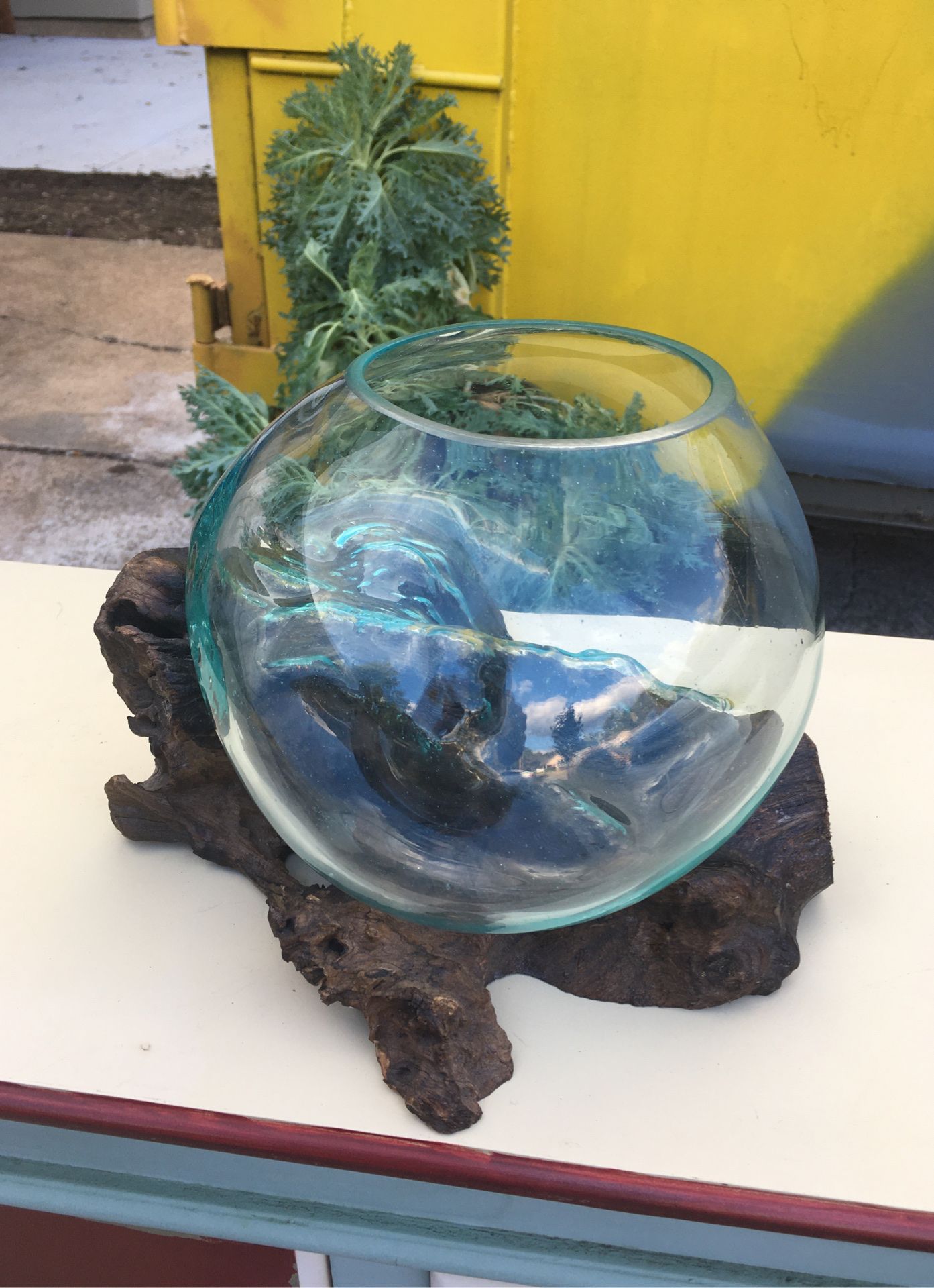 One of a kind! Large molded glass bowl with real root wood wooden holder fish bowl, terrarium, planter, candle holder