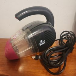 Bissell Pet Hair Eraser
