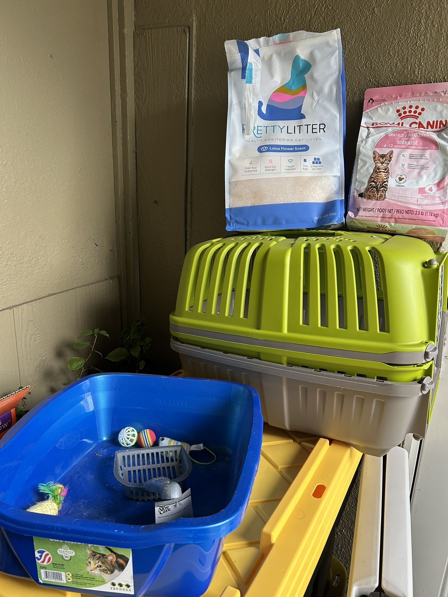 Cat Starter Kit