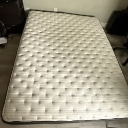 Queen Mattress 