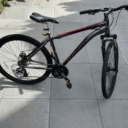 Bicycle 