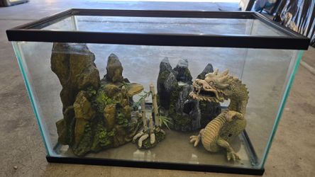 5 gallon tank with decors