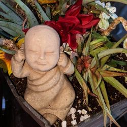 $30 Plant Arrangement