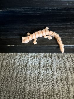 Cute Flexi Gecko