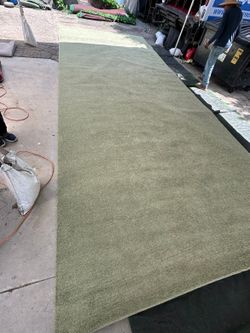 10ftx25ft Carpet light green/olive green