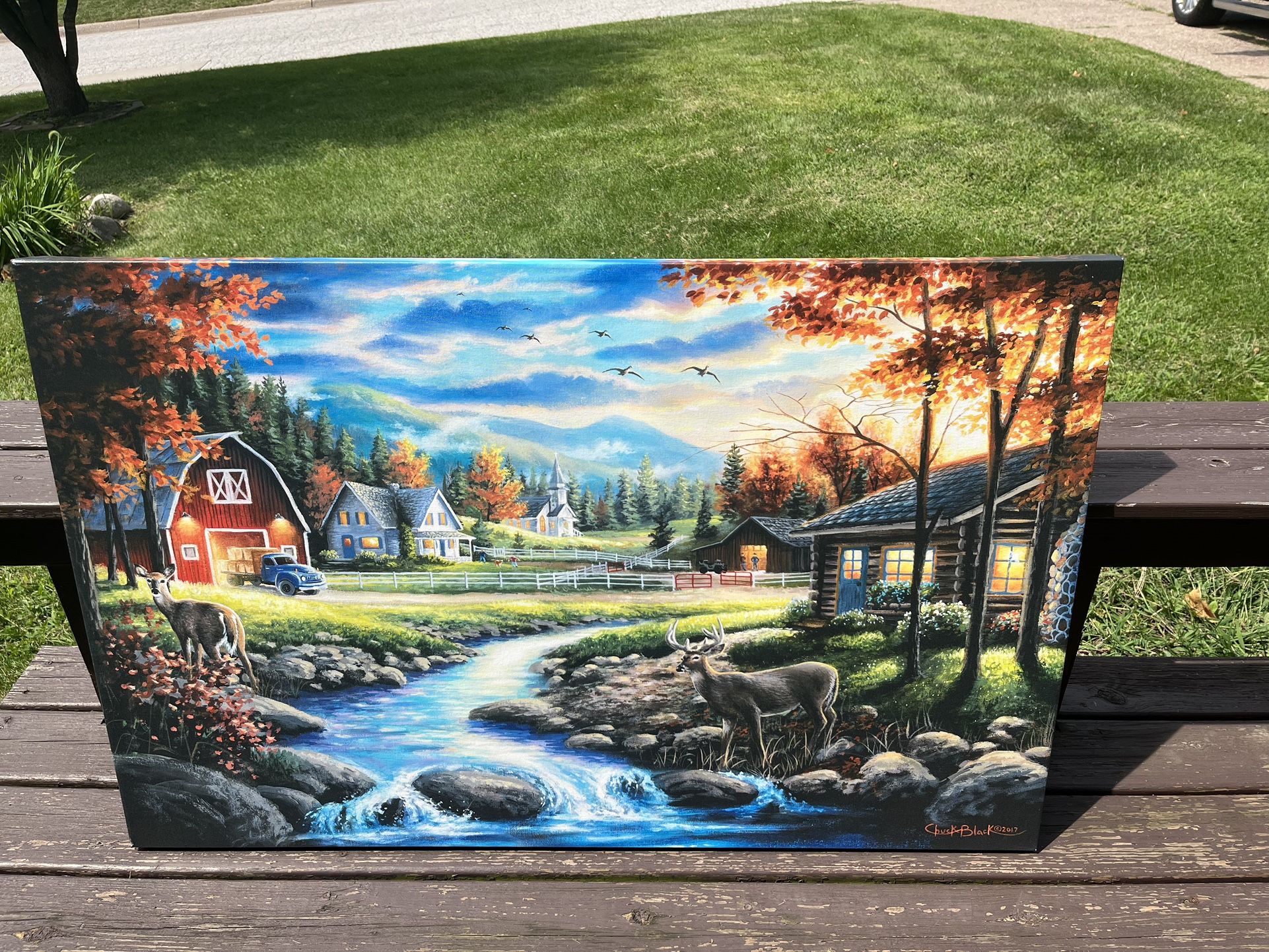 Beautiful Canvas Paintings