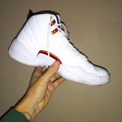 Air Jordan 12 Twist