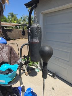 Boxing gear