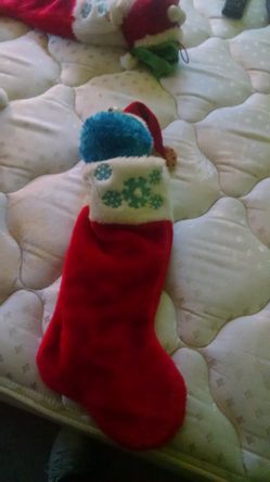 Singing cookie monster stocking
