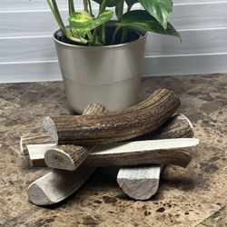 Elk Antler Dog Chews