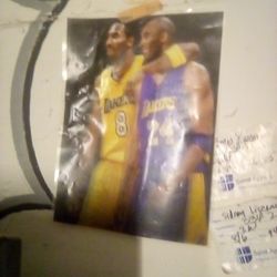 Transparent KOBE PICTURE 