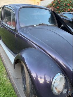 1967 Volkswagen Bug